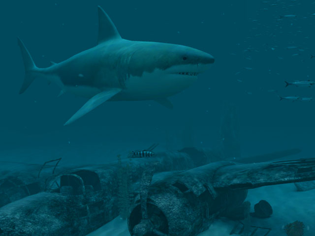 Fish 3D Screensavers - Sharks - Great White