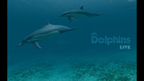 dolphins 3d screensaver code